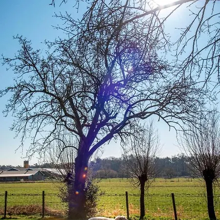 Holiday home Dream-house Esveld