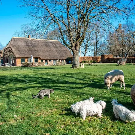 Dream-house Esveld Holiday home Terschuur