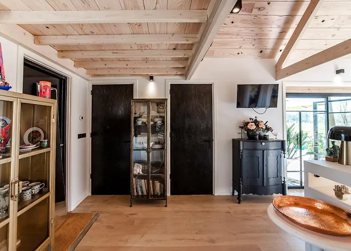 Dom wakacyjny Dream-house Esveld *