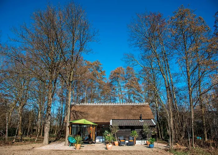 Dream-house Esveld Terschuur