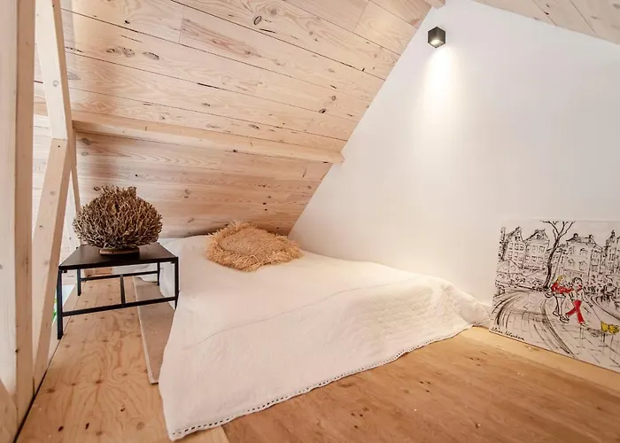 Dom wakacyjny Dream-house Esveld *