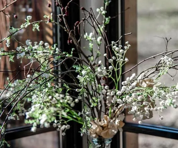 Dom wakacyjny Dream-house Esveld *