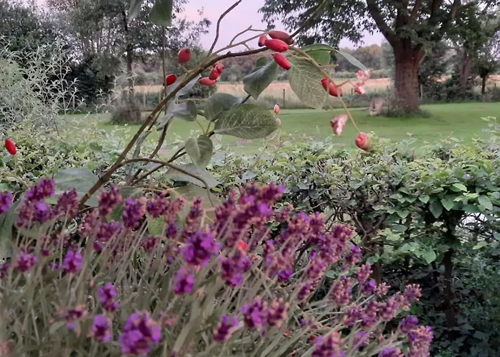 Dom wakacyjny Dream-house Esveld Terschuur