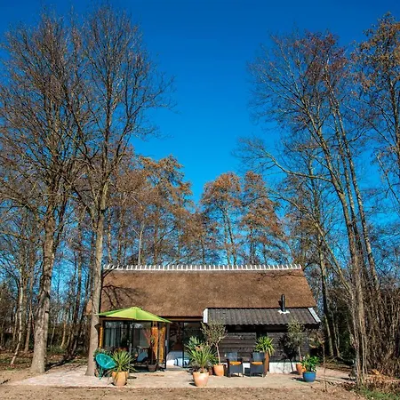 Dream-house Esveld Terschuur