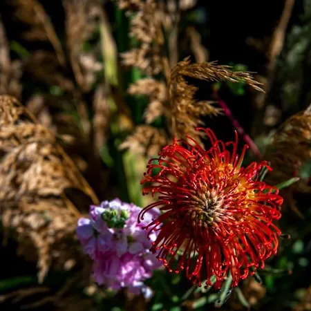 Dream-house Esveld * Terschuur