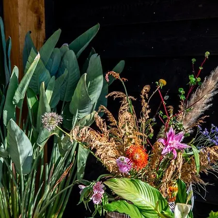 펜션 Dream-house Esveld