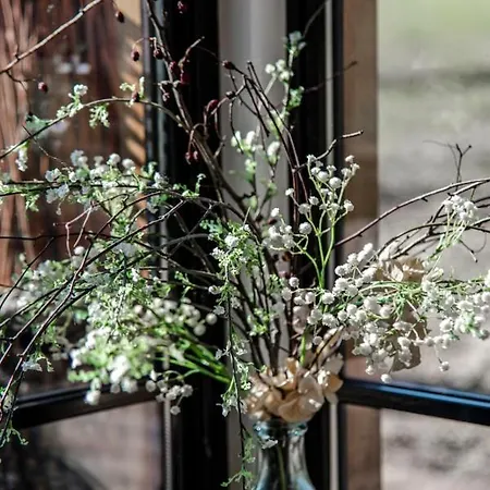 펜션 Dream-house Esveld *