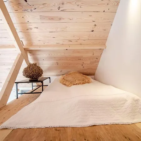 Dream-house Esveld *