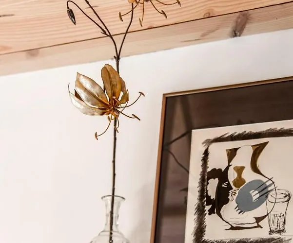 Dream-house Esveld Tatil Evi Terschuur