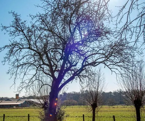 Tatil Evi Dream-house Esveld