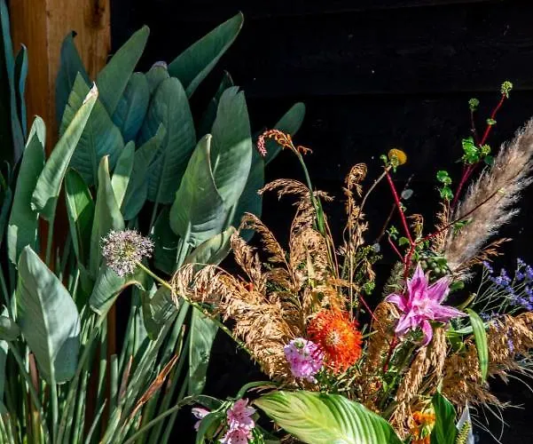 Tatil Evi Dream-house Esveld