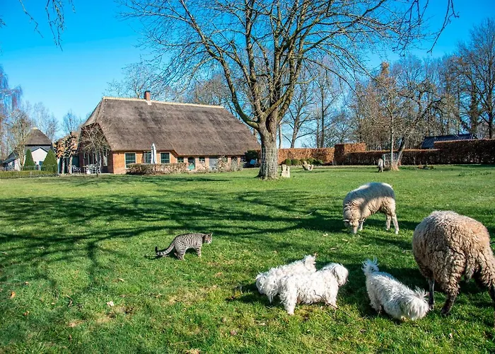 Dream-house Esveld Tatil Evi Terschuur